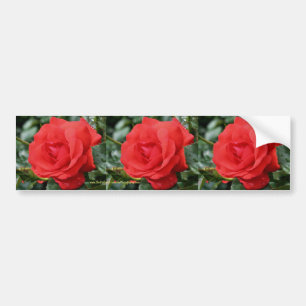 Konst för bil för röd rosblommabildekal bildekal
