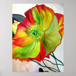 Konst för blomma för akvarell för makrovallmo poster