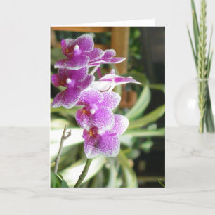 konst för blomma för orchidhälsningkort kort