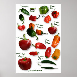 Konst för Chilivariationsvägg Poster