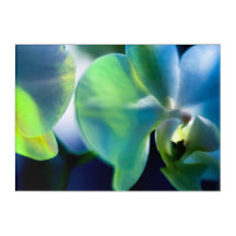 Konst för nattlig Orchid Acrylic Wall Art