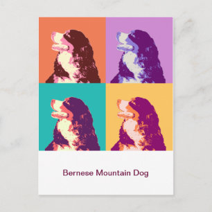 Konst för pop för Bernese berghund Vykort