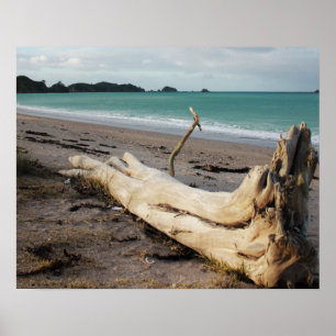 konst för stranddriftwoodfoto poster