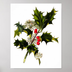Konst för vägg för järnek för jul för poster
