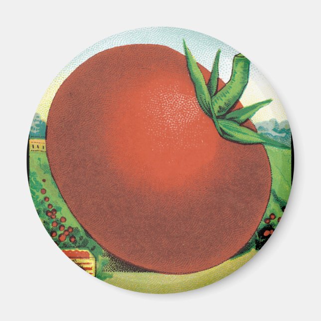 Konst från gammalt fröpaket, Burt's Seed Tomato Magnet (Framsidan)