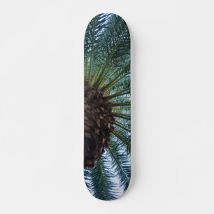 Konst i Handflatan Träd Mini Skateboard Bräda 18,7 Cm