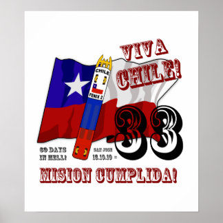 Konst i världen! - Viva Chile Mision Cumplida! Poster