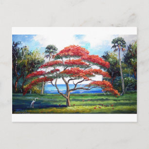 Konst med Royal Poinciana-träd Vykort