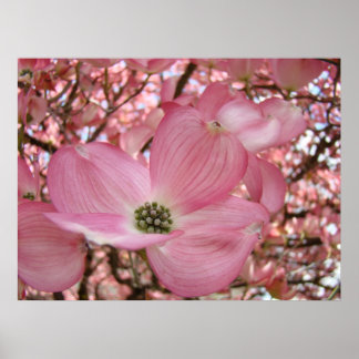KONST Pink Dogwood Träd 1 Konst Ramar Tryck