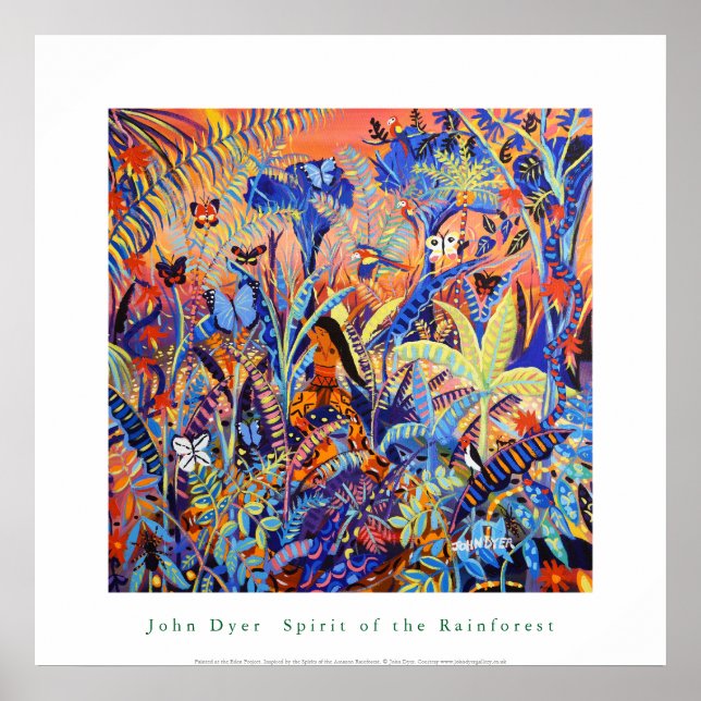 Konst Poster: Amazonas regnskogs anda Poster (Framsidan)