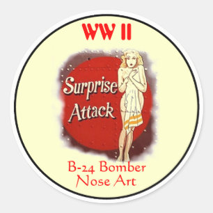 Konst-WW II för näsa B-24 Runt Klistermärke