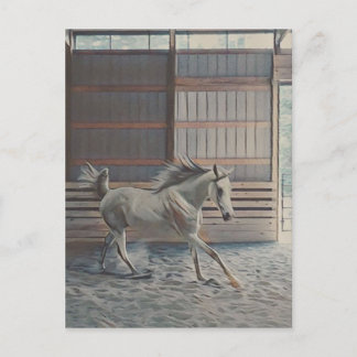 Konstarabiska Vykort