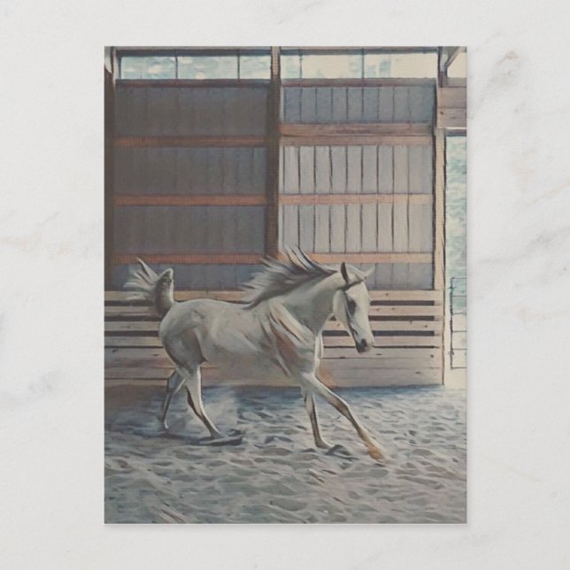 Konstarabiska Vykort (Framsida)