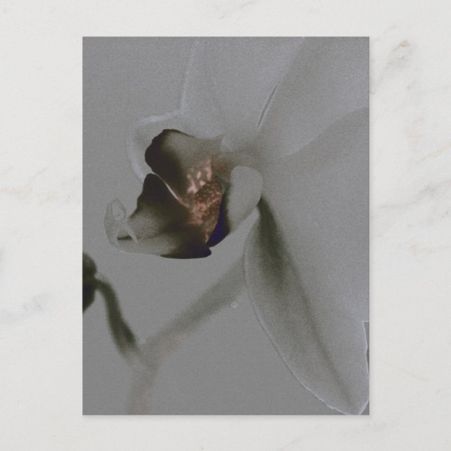 Konstblomning i Grått-toner Vykort (Framsida)