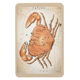Konstellation av cancer magnet