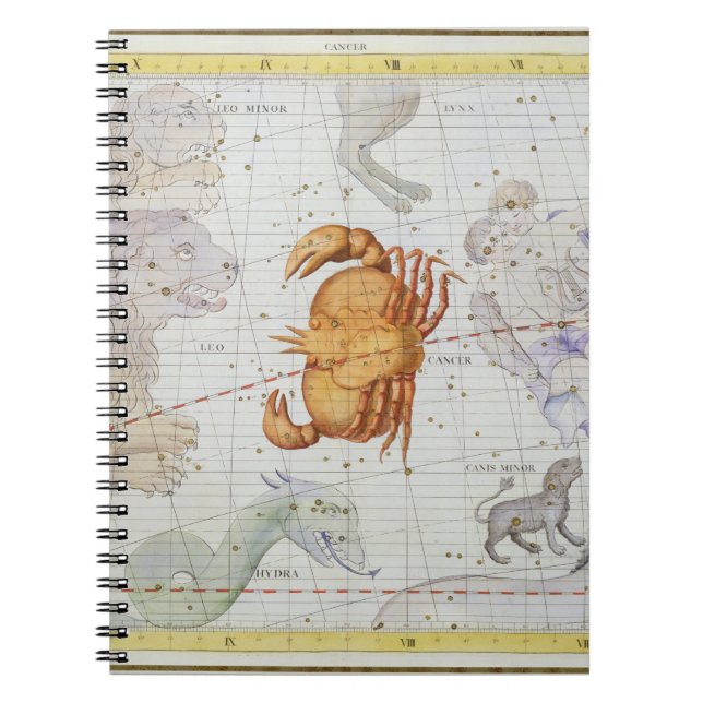 Konstellation av cancer, pläterar 4 från anteckningsbok med spiral (Framsidan)