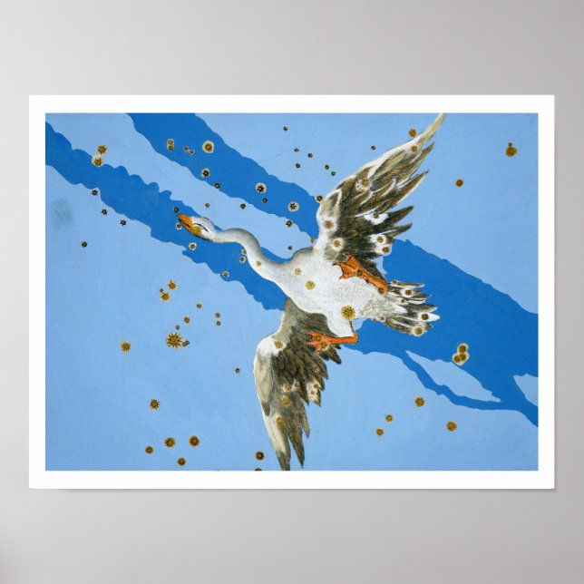 Konstellation av Cygnus, skriven av Uranometria Poster (Framsidan)