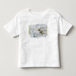 Konstellation av Oxen, pläterar 2 från 'kartboke T-shirt