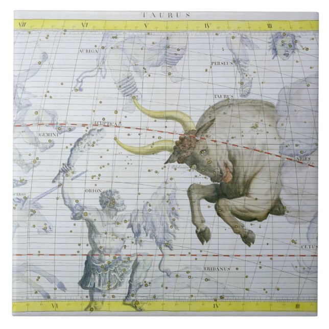Konstellation av Oxen, pläterar 2 från 'kartboken Kakelplatta (Framsidan)