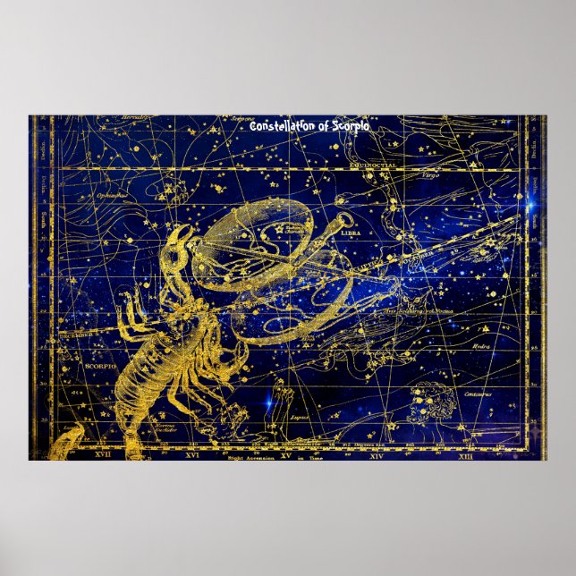 Konstellation av Scorpio Poster (Framsidan)