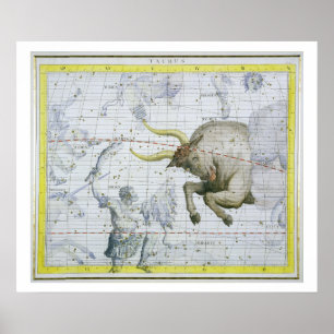 Konstellation av Taurus, tallrik 2 från Atlas Coel Poster