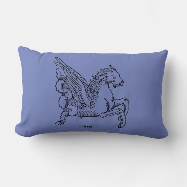 Konstellation: Pegasus Lumbarkudde (Framsida)