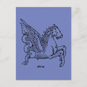Konstellation: Pegasus Vykort
