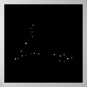 Konstellation Pisces vid Leslie peppar Poster