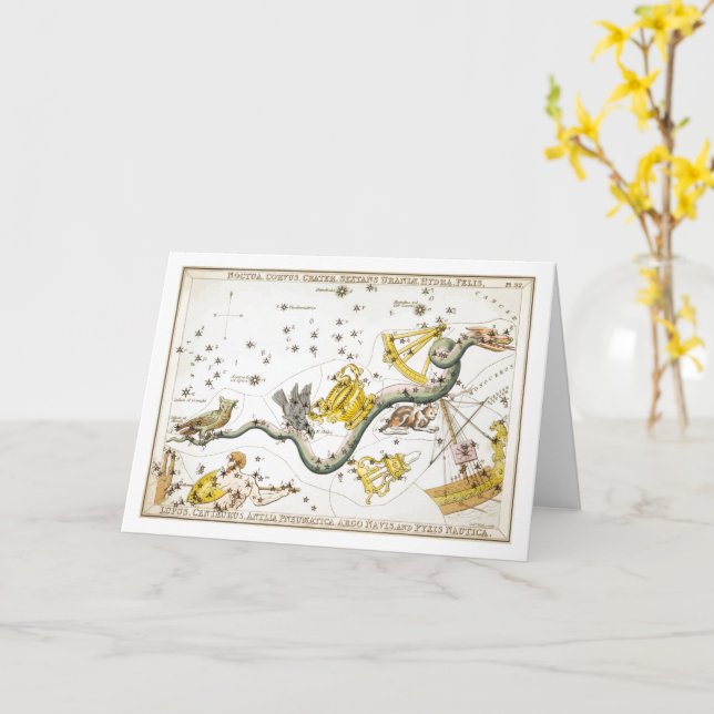 Konstellationer - stjärnor - klassisk astronomi kort (Gul blomma)