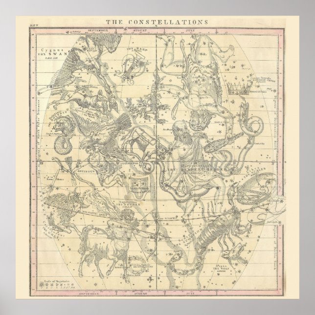 Konstellationerna (juli, augusti, september) poster (Framsidan)