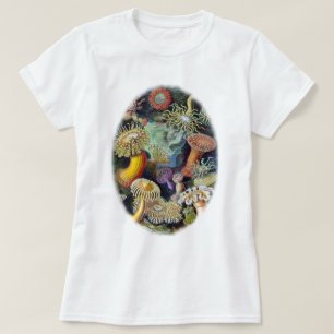 konsten av naturen av Ernst Haeckel Tee