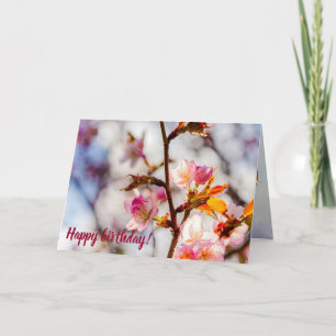 Konsten för Cherry Blossoming på en sunt dag Kort