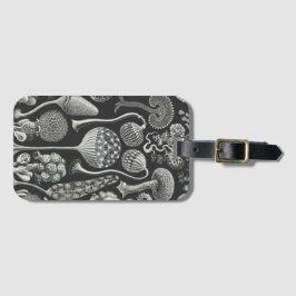 Konstformer Bagagebricka