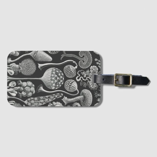 Konstformer Bagagebricka (Framsida horisontal)