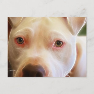 Konstfotografering av valp med pitbull-hund ögon vykort