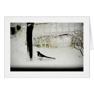 Konstfotoskata i snö vid träd hälsningskort