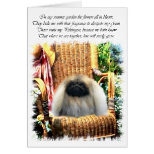 Konstgåvor från Pekingese Hälsningskort
