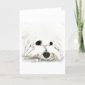 Konstgjord Bichon head aquarelle Kort