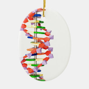 Konstgjord DNA modellerar Julgransprydnad Keramik