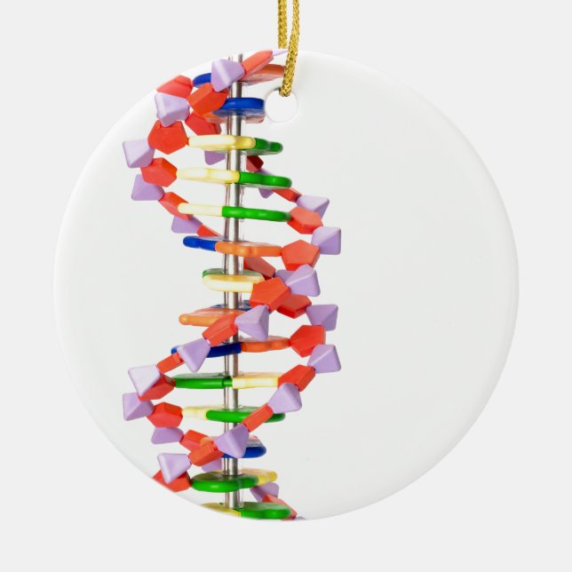 Konstgjord DNA modellerar Julgransprydnad Keramik (Framsidan)