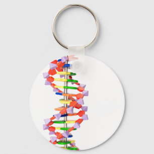 Konstgjord DNA modellerar Nyckelring