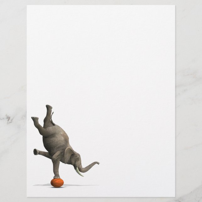 Konstgjord elefant (Framsida)