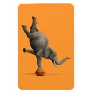 Konstgjord elefant magnet
