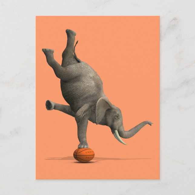 Konstgjord elefant vykort (Framsida)