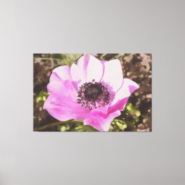 Konstgjord Pastel Rosa Anemone Wildblomma Canvastryck