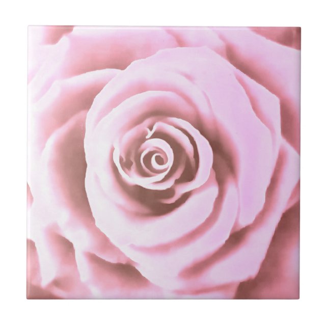 Konstgjord stor Blek Rosa ros Kakelplatta (Framsidan)