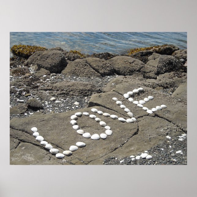 Konstgjorda snäckor på stranden poster (Framsidan)
