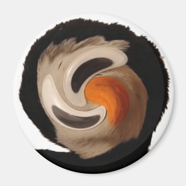 Konstig Archer Magnet (Framsidan)