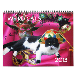 KONSTIG CATS 2013 KALENDER