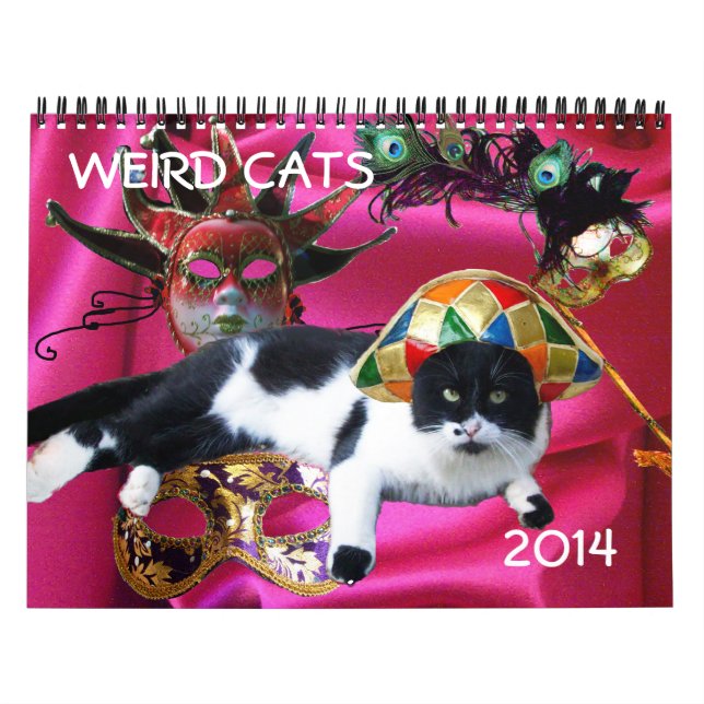 KONSTIG CATS 2014 KALENDER (Omslag)
